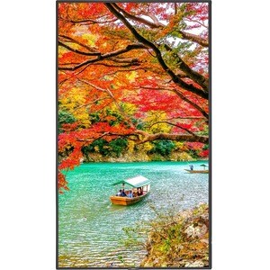 NEC Display 49" Wide Color Gamut Ultra High Definition Professional Display - 49" (1244.60 mm) LCD - High Dynamic Range (H