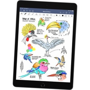 Apple iPad (9th Generation) A2602 Tablet - 10.2" - Apple A13 Bionic Hexa-core - 256 GB Storage - iPadOS 15 - Space Gray - 
