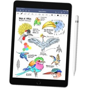 iPad (9th Gen) 10.2in Wi-Fi 64GB - Space Grey - A13 Bionic - Touch ID - Lightning - Supports Apple Pencil (1st Gen) and Sm