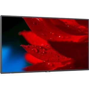 NEC Display MultiSync MA431 109.2 cm (43") LCD Digital Signage Display - 24 Hours/7 Days Operation - Energy Star - In-plan