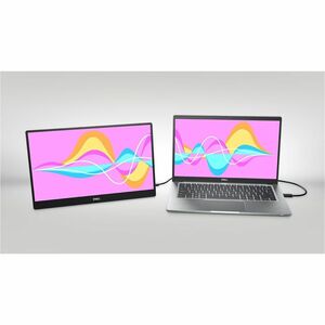 Monitor LED Dell P1424H 14.0" (35.6cm) Class Full HD - 16:9 - Gris - 14" (35.6cm) Viewable - Tecnología conmutación en el 