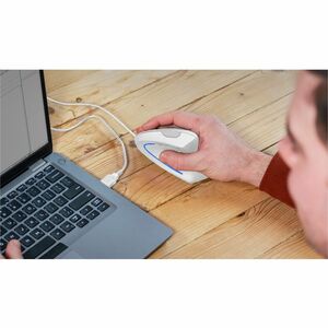 Trust Verto Maus - USB 2.0 - Optisch - 6 Taste(n) - Weiß - Kabel - 1600 dpi Auflösung - Scroll-Rad - Groß Hand-/Handfläche
