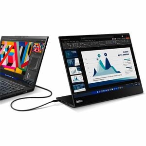 Lenovo ThinkVision M14t Gen2 14" Class LED Touchscreen Monitor - 16:10 - 6 ms - 14" Viewable - Capacitive - 10 Point(s) Mu