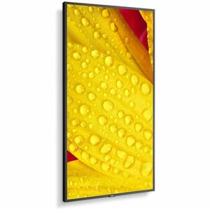 NEC Display MultiSync M431-2 1092,20 mm LCD Digital-Signage-Display - 24 Stunden/7 Tage Betrieb - Energy Star - IPS-Techno