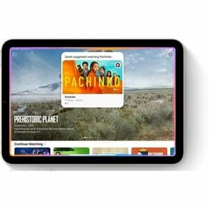 iPad mini (A17 Pro / 7th Gen) 8.3in Wi-Fi + Cellular 256GB - Starlight