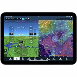 iPad mini Wi-Fi + Cellular 256GB - Space Grey