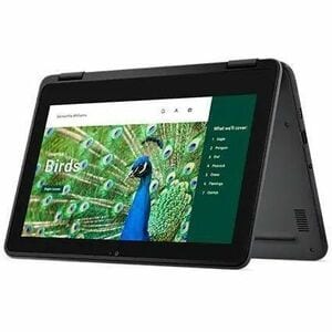 Dell Chromebook 3000 3120 11.6" Touchscreen Clamshell Chromebook - HD - Intel N-Series N100 - 4 GB - 64 GB Flash Memory - 