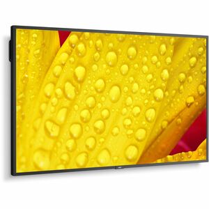 Sharp NEC Display MultiSync M651-2 1651 mm 4K UHD LCD Digital Signage Display - 24 Hours/7 Days Operation - Energy Star - 