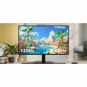 MSI Pro MP251L E2 25" Class Full HD LCD Monitor - 16:9 - 62.2 cm (24.5") Viewable - In-plane Switching (IPS) Technology - 