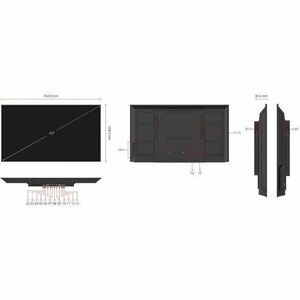 ViewSonic ViewBoard CDE43G3-1C 1092.20 mm LCD Digital Signage Display - 24 Hours/7 Days Operation - Energy Star - Thin Fil