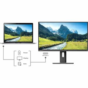 Hannspree EB241CJB 24" Class Full HD LED Monitor - 16:9 - 60.5 cm (23.8") Viewable - Twisted nematic (TN) - LED Backlight 