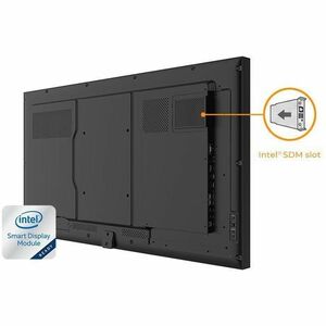 AG Neovo PD4302 1092.20 mm LCD Digital Signage Display - 24 Hours/7 Days Operation - In-plane Switching (IPS) Technology -