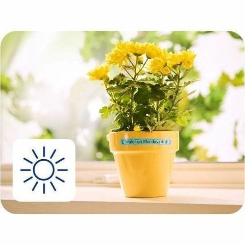 Miniatura 11 de BTAG231 12MM BLACK ON WHITE TAPE