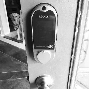 Lockly Vision Smart Lock + Video Doorbell - Touchscreen - Bluetooth - Satin Nickel