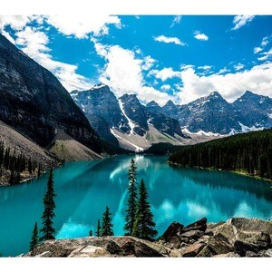 ViewSonic Digital ePoster EP5542T 1397 mm LCD Digital-Signage-Display - Energy Star - Touchscreen - 16 GB - 3840 x 2160 - 