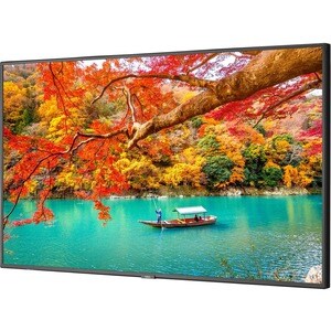 NEC Display 49" Wide Color Gamut Ultra High Definition Professional Display - 49" (1244.60 mm) LCD - High Dynamic Range (H