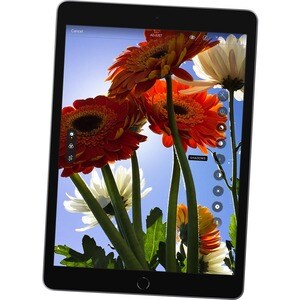 Apple iPad (9th Generation) Tablet - 25,9 cm (10,2 Zoll) - Hexa-Core (Lightning Dual-Core 2,65 GHz + Thunder Quad-Core 1,8