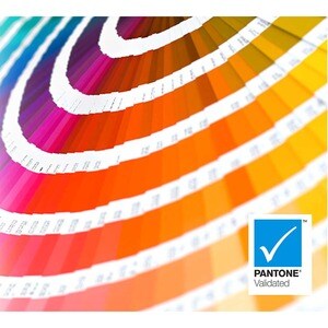 ViewSonic ColorPro VP3256-4K 32" Class 4K UHD LED Monitor - 16:9 - Black - 80 cm (31.5") Viewable - In-plane Switching (IP
