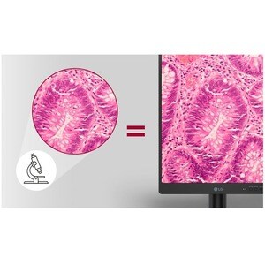 LG 21HQ513D-B 21.3" QXGA LCD Monitor - 3:4 - 21" (533.40 mm) Class - In-plane Switching (IPS) Technology - 2048 x 1536 - 1