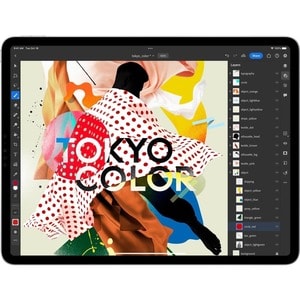Apple iPad Pro (4th Generation) Tablet - 27.9 cm (11") - Apple M2 Octa-core - 8 GB - 256 GB Storage - 5G - Space Gray - 23