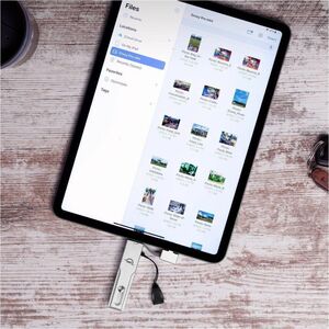 OWC Envoy Pro mini 250 GB Portable Solid State Drive - External  - Gaming Console, Smartphone, Tablet, iMac, Mac mini, Mac