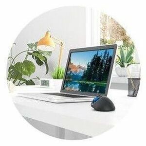 Kensington Pro Fit TB450 Mouse - Bluetooth - USB 2.0 Type A - Optical - 5 Programmable Button(s) - Black - 1 Each - Wirele