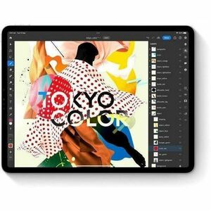 Apple iPad Pro (7th Generation) A2925 平板 - 33 cm (13") - Apple M4 - 8 GB - 256 GB 存储 - 银 - 4.40 GHz - 2752 x 2064 - 原彩技术 显