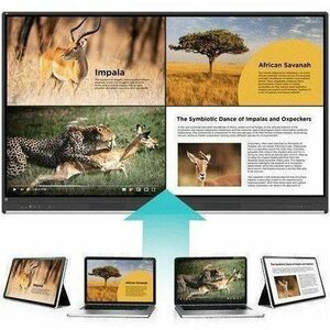 ViewSonic ViewBoard IFP6553 1651 mm 4K UHD LCD Collaboration Display - Infrared (IrDA) - Touchscreen - 3840 x 2160 - 450 c
