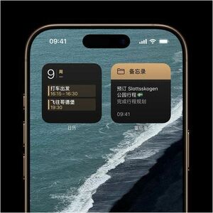 Apple iPhone 16 Pro A3294 1 TB 智能电话 - 16 cm (6.3") OLED 2622 x 1206 - 六核（6 核） - 8 GB RAM - 5G - 条 - Apple A18 Pro (3 nm) S