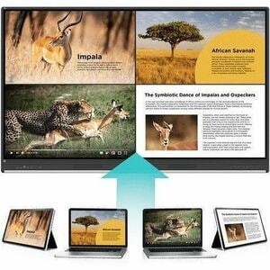 ViewSonic ViewBoard IFP8653 2184,40 mm 4K UHD Collaboration Display - Infrarot (IrDA) - Touchscreen - 3840 x 2160 - 450 cd