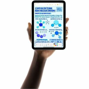 iPad mini Wi-Fi 256GB - Blue
