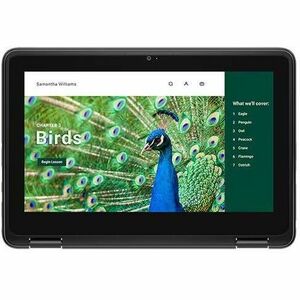 Dell Chromebook 3000 3120 11.6" Touchscreen Clamshell Chromebook - HD - Intel N-Series N100 - 4 GB - 64 GB Flash Memory - 