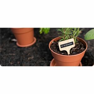 Brother Genuine P-touch TZe211 BK on WHT Label Tape, Laminated, 6mmX8m - x 15/64" (6 mm) Width - White - Polyethylene Tere