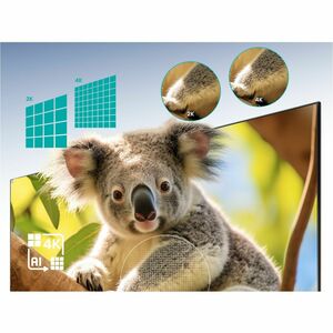 Pantalla Hisense de 65 pulgadas QLED, VIDAA TV, native refresh 60Hz, 4K, 3840*2160, Alexa/Google Home/Airplay/Miracast