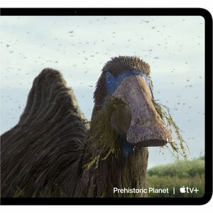 Apple iPad Pro (8th Generation) 平板 - 27.9 cm (11") - 12 GB - 512 GB 存储 - Nona核心（9核） - 1600 cd/m² - 2420 x 1668 - 原彩技术 显示屏 