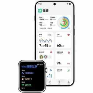 Vivo X300 Pro 512 GB Smartphone - 17,2 cm (6,8 Zoll) LTPO AMOLED HDR10+ - Octa-Core (Single-Core 4,21 GHz Triple-Core 3,50