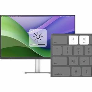 BenQ MA320UG 32" Class 4K UHD LED Monitor - 16:9 - 80 cm (31.5") Viewable - In-plane Switching (IPS) Technology - LED Back