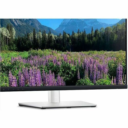 Vista 17 de DELL 24 VIDEO CONFERENCING MONITOR - P24