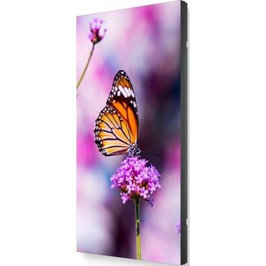 NEC Display MultiSync UN552VS 1397 mm LCD Digital Signage Display - Super In-plane Switching (S-IPS) Technology - 1920 x 1