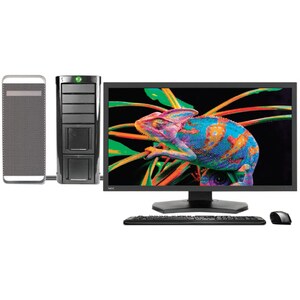 NEC Display PA311D-BK-SV 31" Class 4K LCD Monitor - 17:9 - 31.1" Viewable - In-plane Switching (IPS) Technology - WLED Bac
