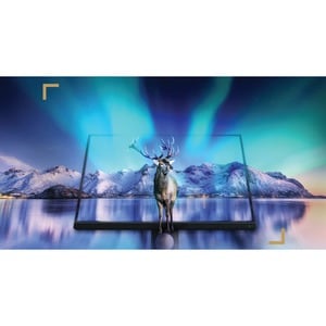 BenQ Photographer SW321C 32" Class 4K LCD Monitor - 16:9 - Grey - 81.3 cm (32") Viewable - In-plane Switching (IPS) Techno