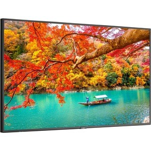 NEC Display 43" Wide Color Gamut Ultra High Definition Professional Display - 43" LCD - High Dynamic Range (HDR) - 3840 x 