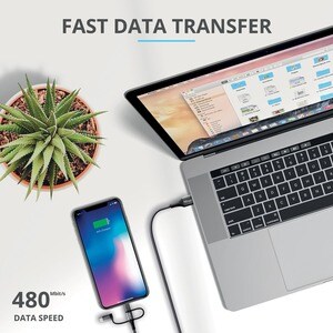 Trust Keyla 1 m Lightning/Micro-USB/USB/USB-C Data Transfer Cable for Computer, Phone, Digital Text Reader, Notebook, iPad