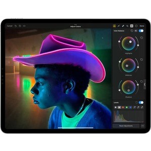 Apple iPad Pro (4th Generation) 平板 - 27.9 cm (11") - Apple M2 八核 - 8 GB - 256 GB 存储 - 银 - 2388 x 1668 - 原彩技术, 面内交换(IPS)技术,