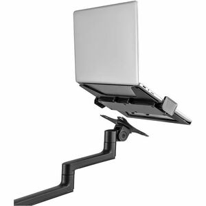 Neomounts Desk Mount for Notebook - Black - Height Adjustable - 1 Display(s) Supported - 29.5 cm to 43.9 cm (17.3") Screen