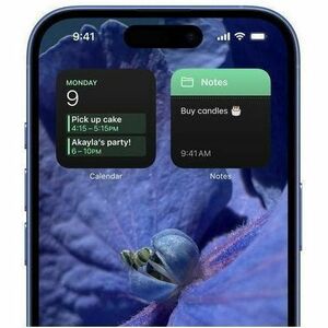 Apple iPhone 16 Plus 256 GB Smartphone - 17 cm (6.7") OLED 2796 x 1290 - A18Hexa-core (6 Core) - 8 GB RAM - iOS 18 - 5G - 