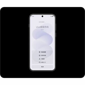 Vivo X300 Pro 512 GB Smartphone - 17,2 cm (6,8 Zoll) LTPO AMOLED HDR10+ - Octa-Core (Single-Core 4,21 GHz Triple-Core 3,50