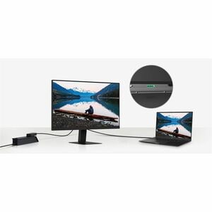LG 24U631A-B 24.0" (61.0 cm) Class WQHD LCD Monitor - 16:9 - 23.8" (60.5 cm) Viewable - In-plane Switching (IPS) Technolog