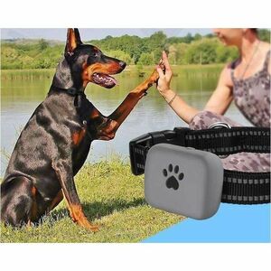 Carneo DogSAFE+ GPS