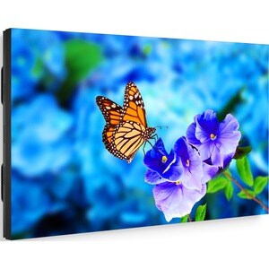 NEC Display MultiSync UN552VS 1397 mm LCD Digital Signage Display - Super In-plane Switching (S-IPS) Technology - 1920 x 1